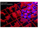 LED-enhet for PG Unicorn Gundam / PG Banshee Norn