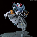 Zeong MSN-02  RG 1/144 Real Grade Gunpla