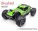 BSD Dune Buggy Pro 1/10 Brushless Waterproof
