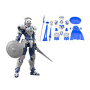 30MF Rosan Swordman