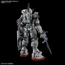 Gundam EX [RFV] (Requiem for Vengeance) HG 1/144 High Grade Gunpla