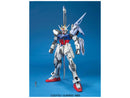 Launcher/Sword Strike Gundam MG 1/100 Master Grade