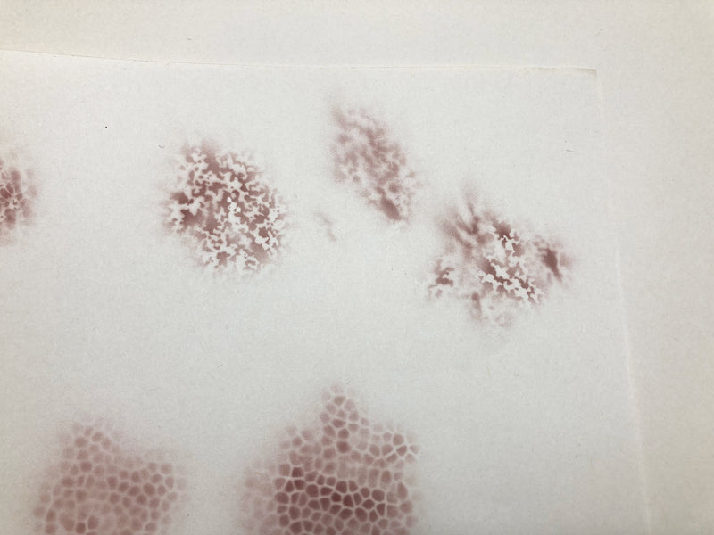 MADWORKS Special Effect Stencils for Airbrushes 5-Camouflage Effect Stencil