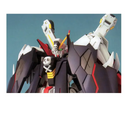 Crossbone Gundam X1 Full Cloth MG 1/100 Master Grade Gunpla