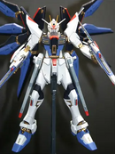Strike Freedom Gundam MG 1/100 Master Grade Gunpla