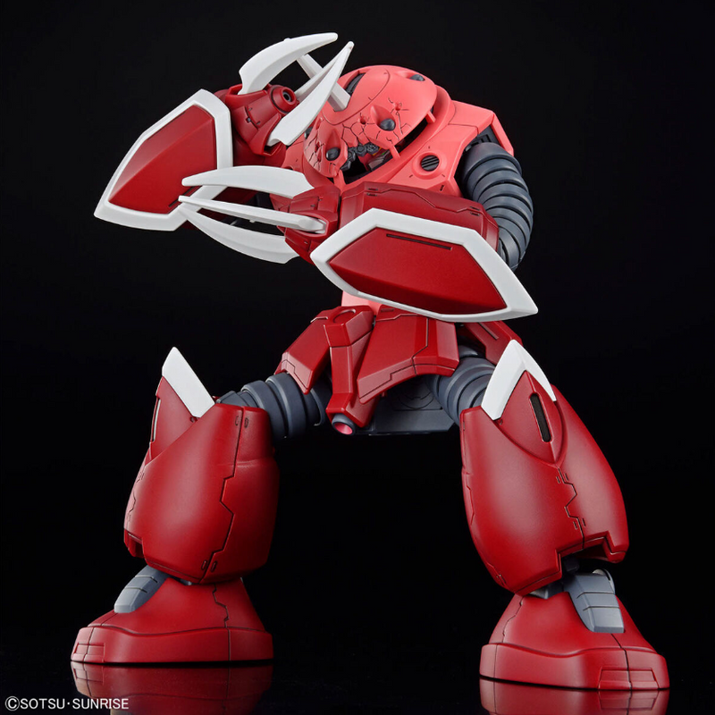 Z'Gok (Gundam Seed Freesom Ver.) HG 1/144 High Grade Gunpla