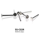 DSPIAE SS-C02R (Ø10MM) 6PCS