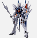 Gundam Naion HG 1/144 [Premium Bandai]