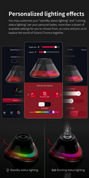 DSPIAE Oscillating Stirrer
