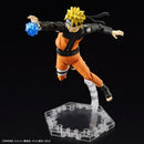 Uzumaki Naruto - Figure Rise Standard