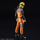 Uzumaki Naruto - Figure Rise Standard