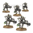 Fem ferdigmalte Necron Immortals