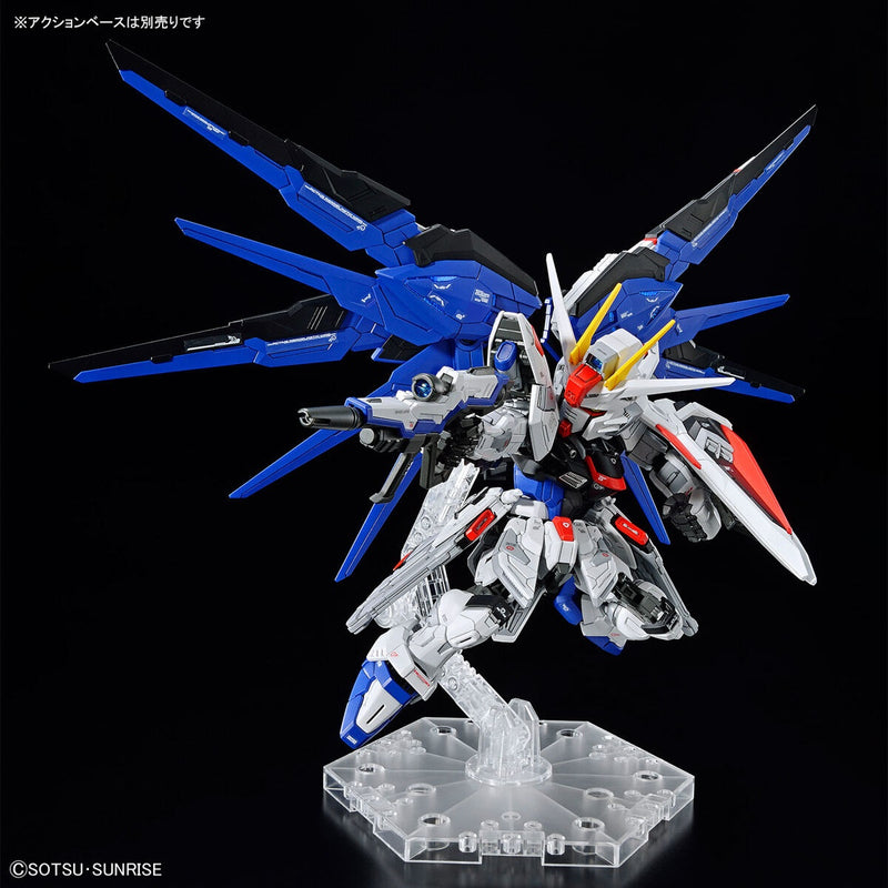 MGSD Freedom Gundam Master Grade SD Gunpla