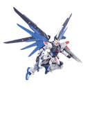 RG ZGMF-X10A Freedom Gundam 1/144 Real Grade Gunpla (FLYING)