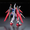 RG ZGMF-X42S Destiny Gundam 1/144 Real Grade Gunpla (BACK)