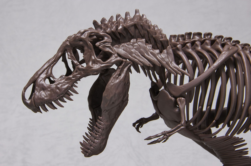 Tyrannosaurus 1/32 Imaginary Skeleton model kit