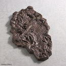 Tyrannosaurus 1/32 Imaginary Skeleton model kit