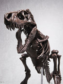 Tyrannosaurus 1/32 Imaginary Skeleton model kit