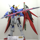 Destiny Gundam MG 1/100 Master Grade Gunpla