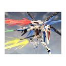 RG ZGMF-X10A Freedom Gundam 1/144 Real Grade Gunpla