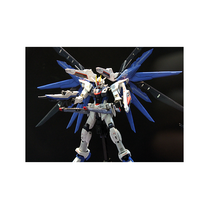 RG ZGMF-X10A Freedom Gundam 1/144 Real Grade Gunpla