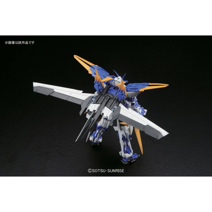 Gundam Astray Blue Frame D MG 1/100 Master Grade Gunpla