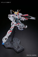 Unicorn Gundam RX-0 (Twin Frame Edition) Titanium Finish MG 1/100 Master Grade Gunpla