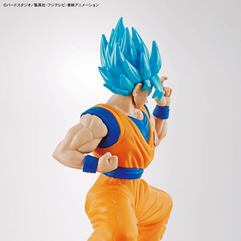 Super Saiyan God Super Saiyan Son GoKu Entry Grade