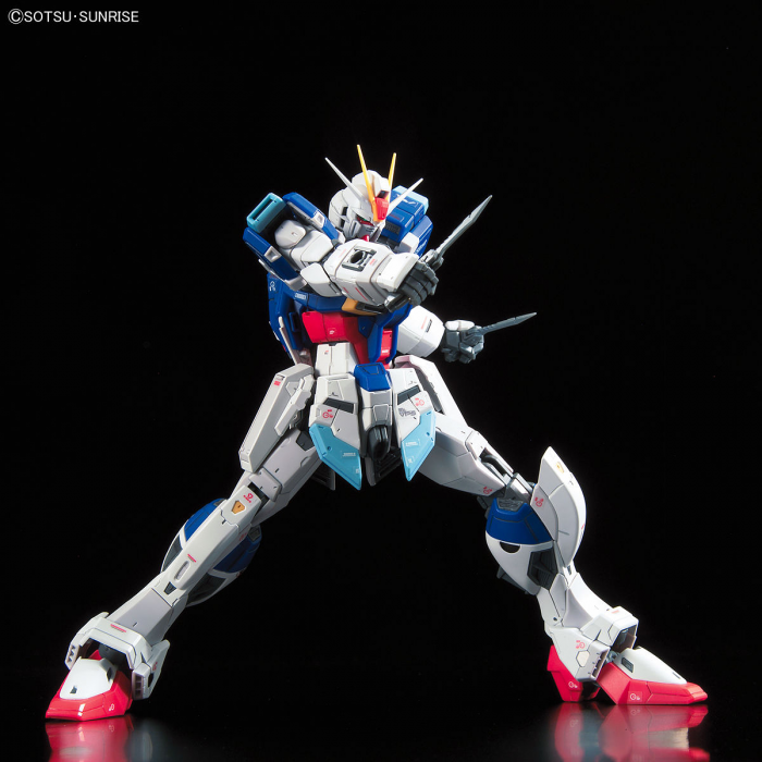 RG Force Impulse Gundam 1/144 Real Grade (COMBAT POSE)