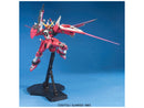 Infinite Justice Gundam MG 1/100 Master Grade Gunpla