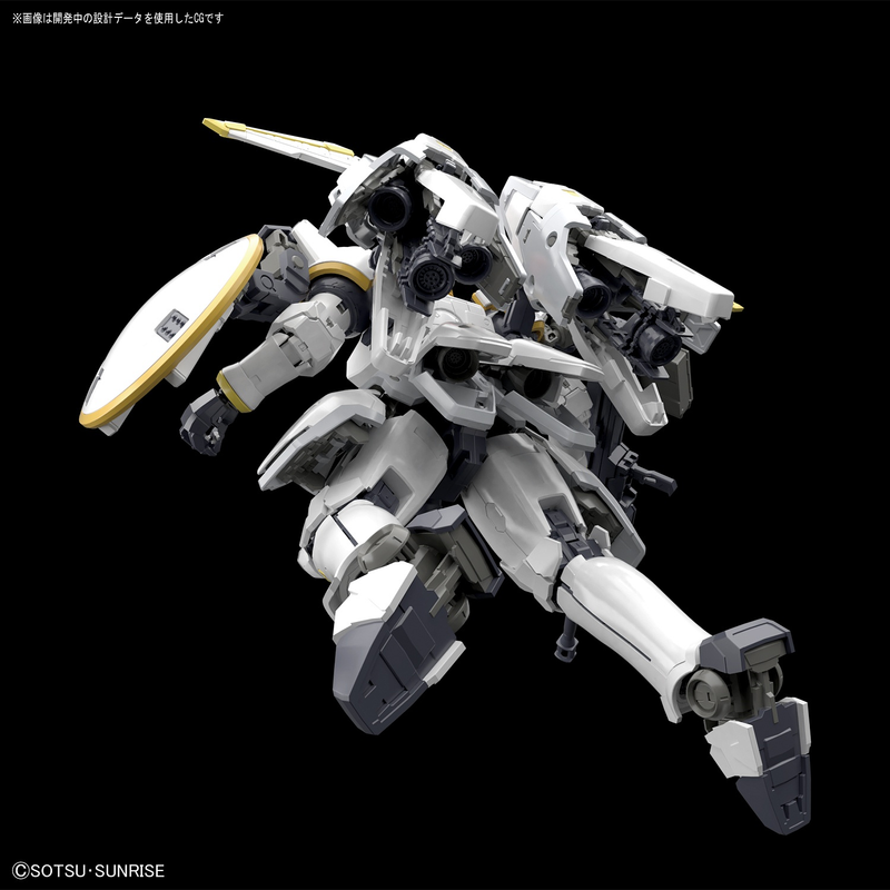 Tallgeese EW RG 1/144 Real Grade Gunpla